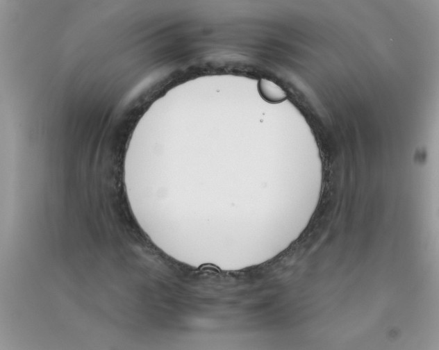 X0000090740919200708172004