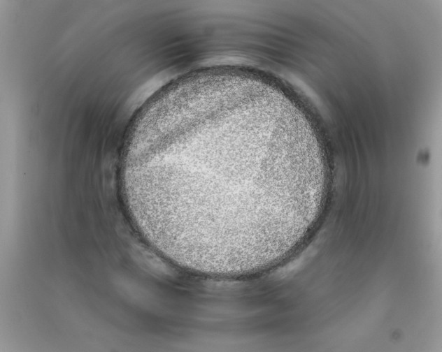 X0000090740921200708172004