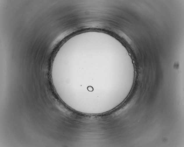 X0000090740922200708172004