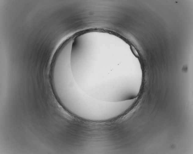 X0000090740924200708172004