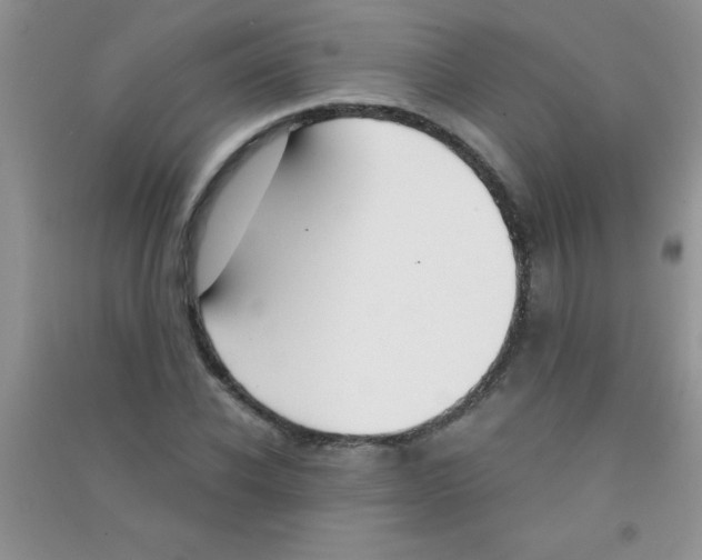 X0000090740926200708172004