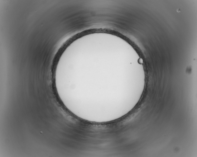 X0000090740927200708172004