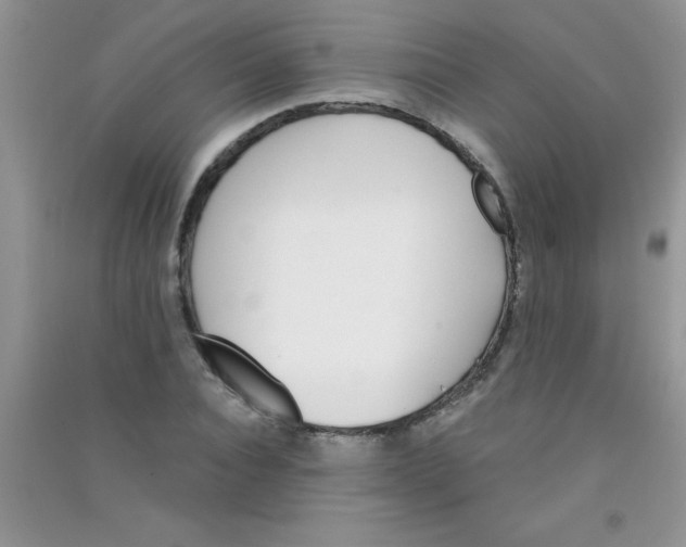 X0000090740928200708172004