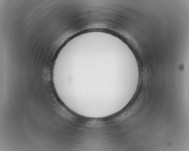 X0000090740929200708172004