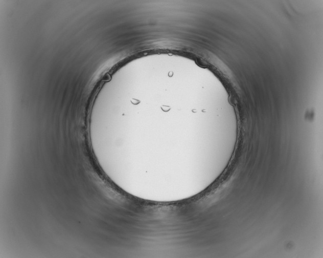 X0000090740930200708172004