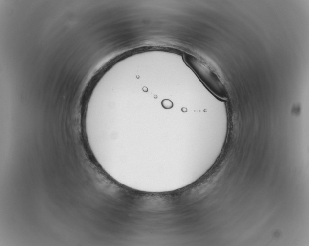 X0000090740931200708172005