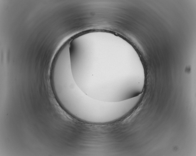 X0000090740932200708172005