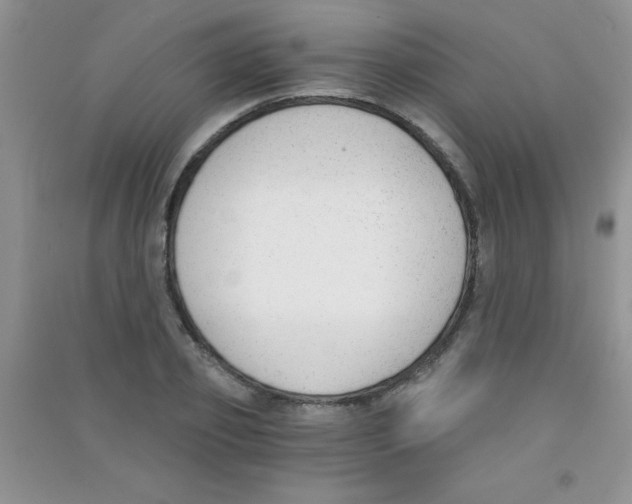 X0000090740933200708172005