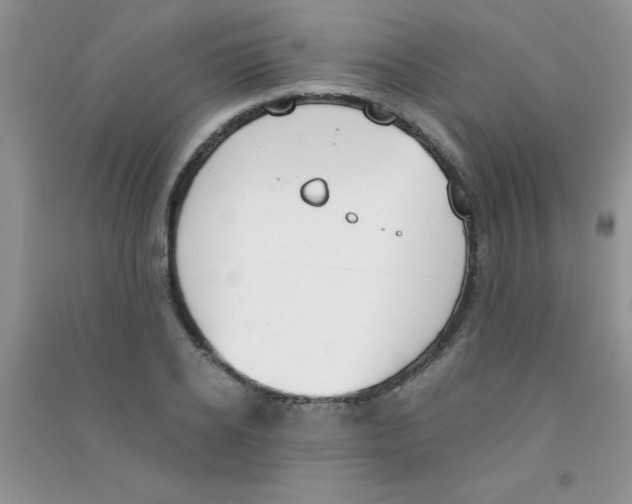 X0000090740934200708172005