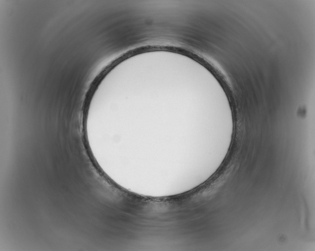 X0000090740935200708172005