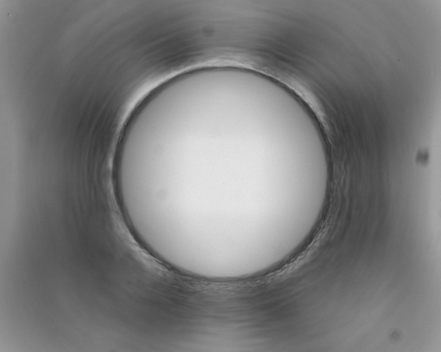 X0000090740936200708172005