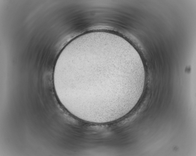 X0000090740937200708172005