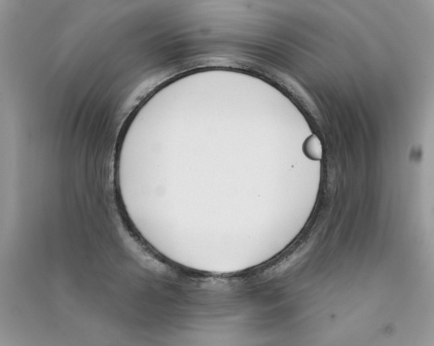 X0000090740938200708172005