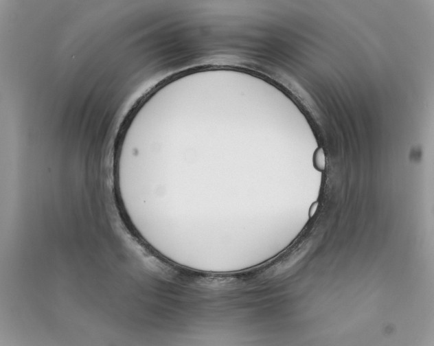 X0000090740939200708172005