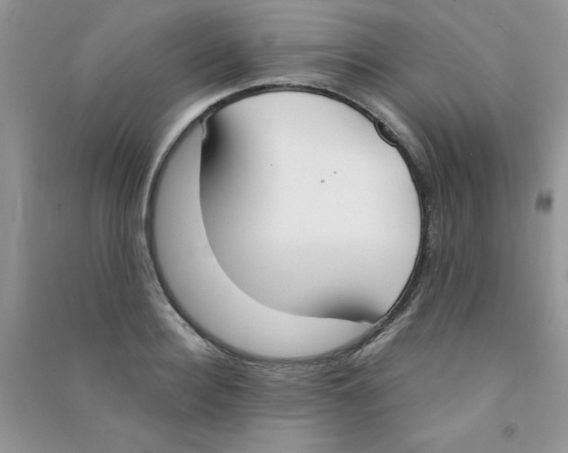 X0000090740940200708172005