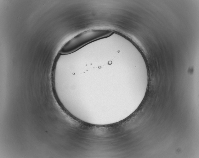 X0000090740943200708172005