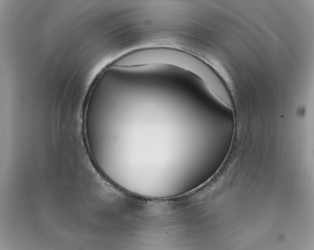 X0000090740944200708172005