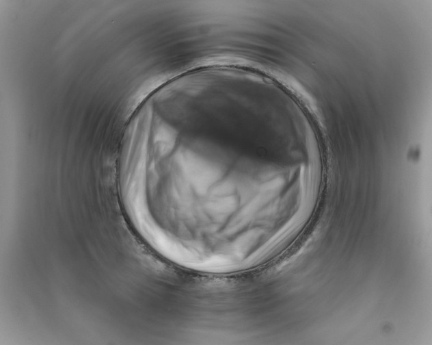 X0000090740945200708172005