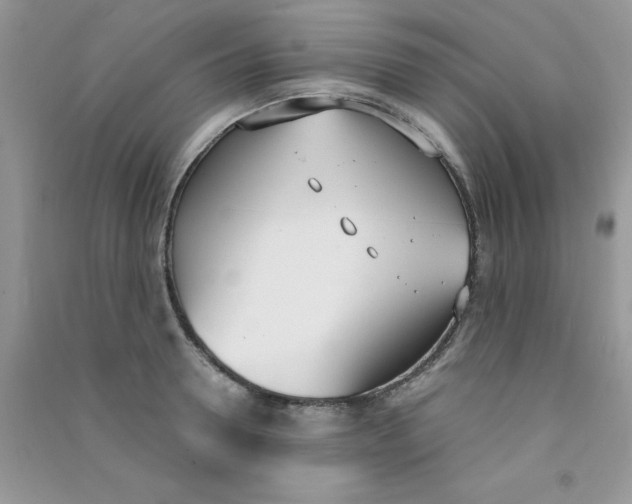 X0000090740946200708172005