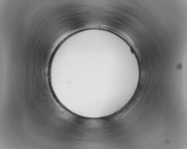 X0000090740947200708172005