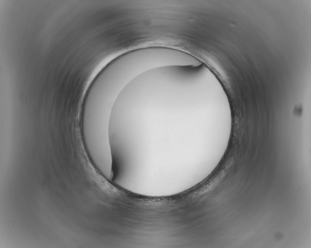 X0000090740948200708172005