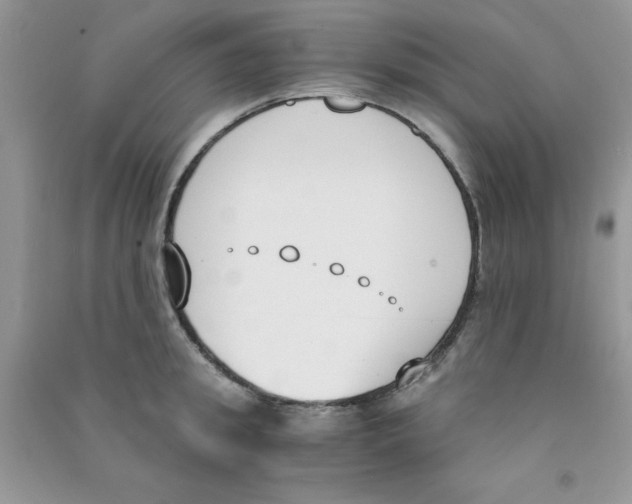 X0000090740949200708172005