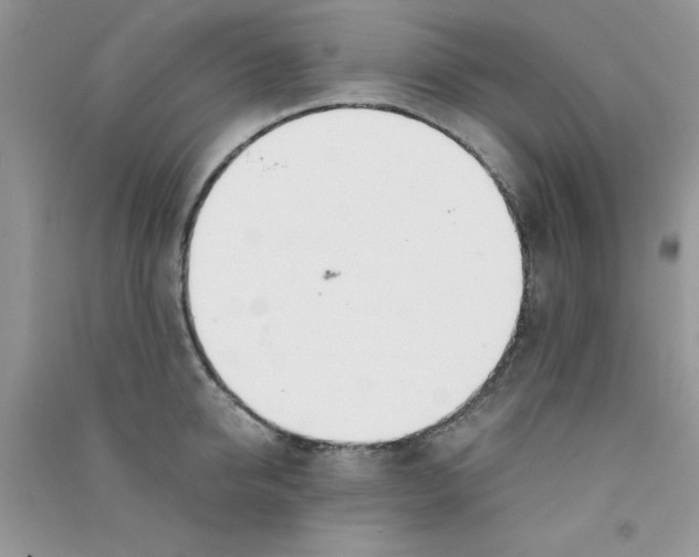 X0000090740950200708172005