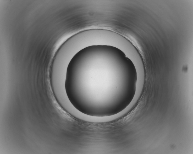 X0000090740952200708172005