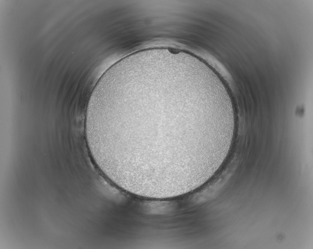 X0000090740953200708172005