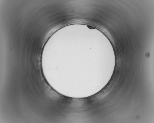 X0000090740954200708172005