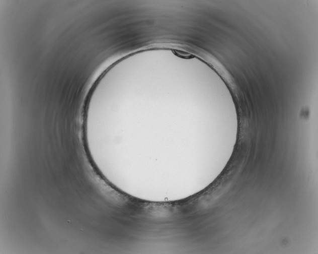 X0000090740955200708172005