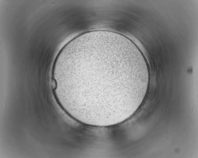 X0000090740957200708172005