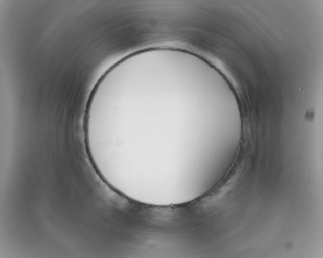 X0000090740959200708172005