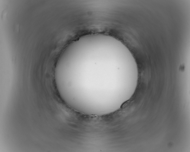 X0000090740961200708172004