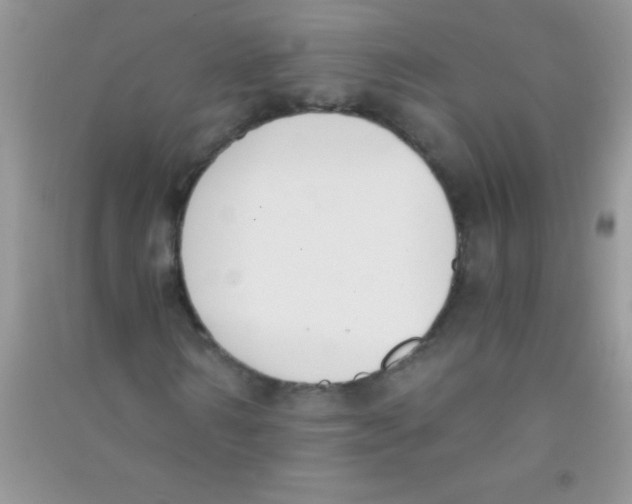 X0000090740962200708172004