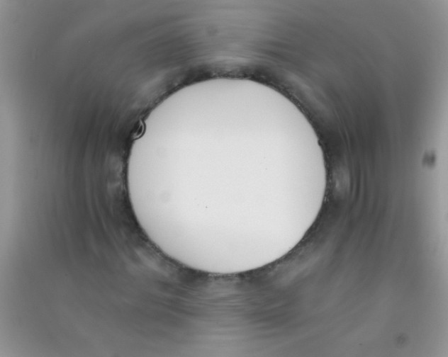 X0000090740964200708172004