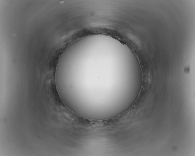 X0000090740965200708172004