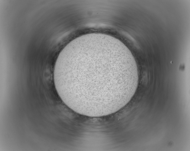 X0000090740966200708172004