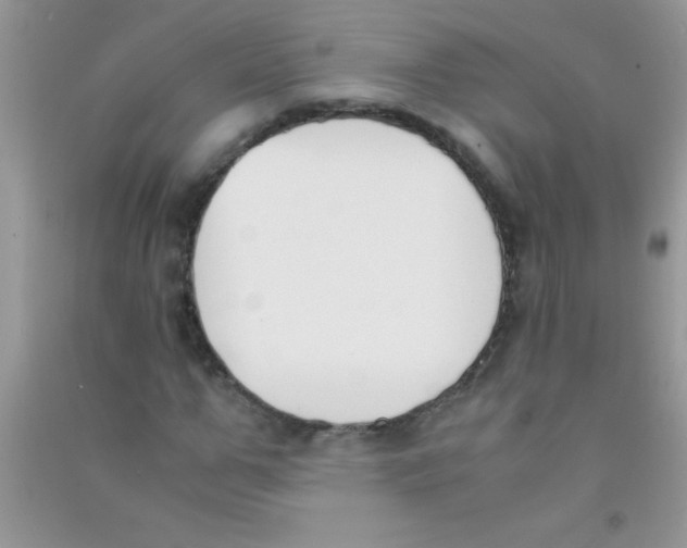 X0000090740967200708172004