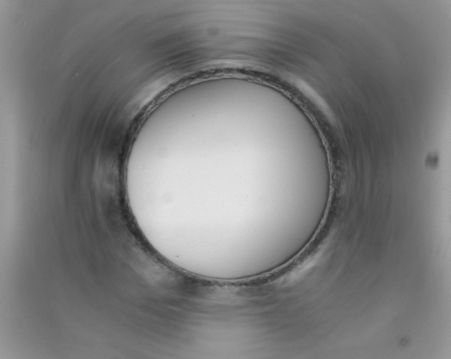 X0000090740969200708172004