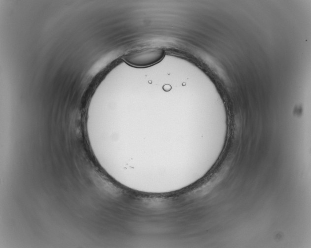 X0000090740970200708172004