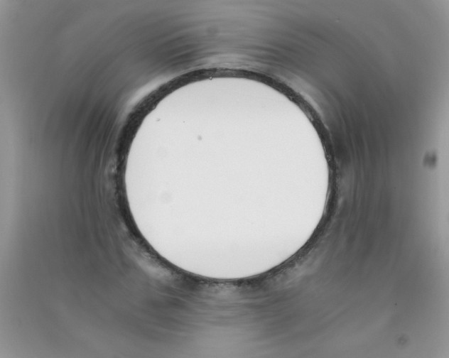 X0000090740971200708172004