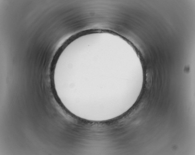 X0000090740972200708172004