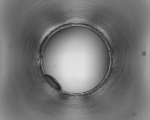 X0000090740973200708172004