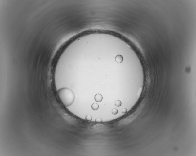 X0000090740974200708172004