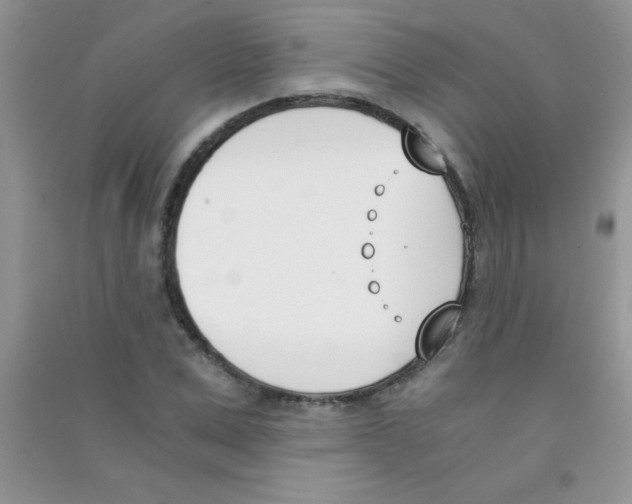 X0000090740975200708172004