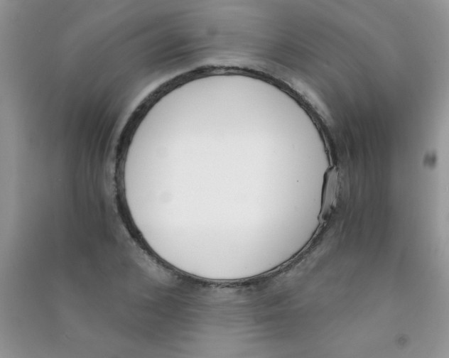 X0000090740976200708172004