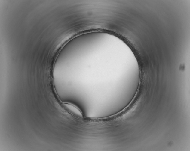 X0000090740977200708172004