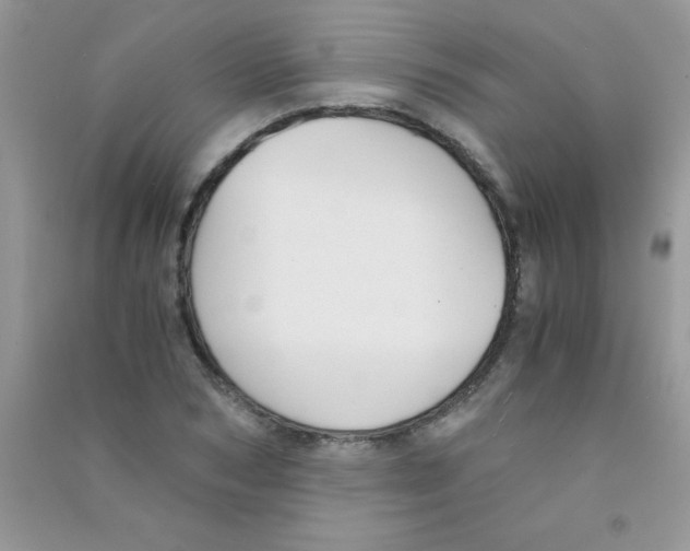 X0000090740978200708172004