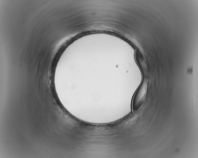 X0000090740979200708172004